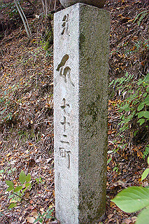 dsc05892_thumb.jpg