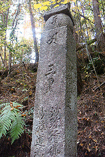dsc05893_thumb.jpg