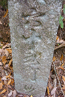 dsc05902_thumb.jpg