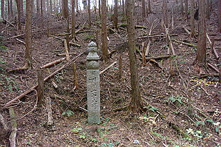 dsc05904_thumb.jpg