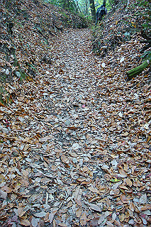 dsc05905_thumb.jpg