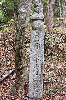 dsc05906_thumb.jpg