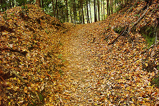 dsc05908_thumb.jpg