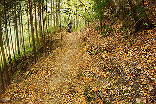 dsc05909_thumb.jpg