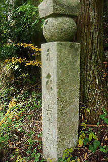 dsc05914_thumb.jpg