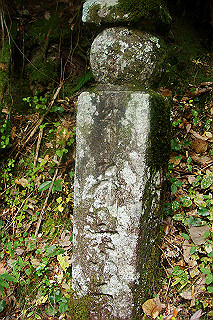 dsc05915_thumb.jpg
