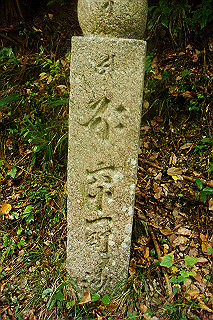 dsc05918_thumb.jpg