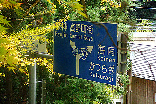 dsc05919_thumb.jpg