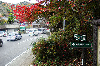 dsc05923_thumb.jpg