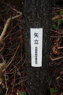 dsc05925_thumb.jpg