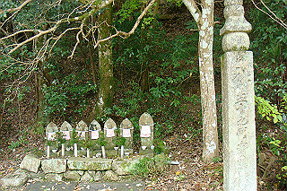 dsc05942_thumb.jpg