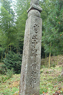 dsc05943_thumb.jpg