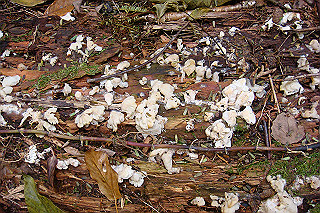 dsc05947_thumb.jpg