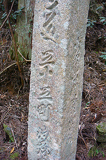 dsc05950_thumb.jpg