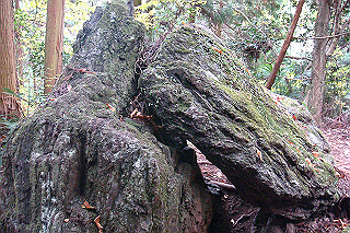 dsc05952_thumb.jpg