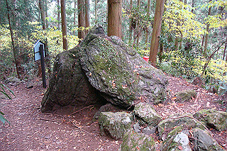 dsc05953_thumb.jpg