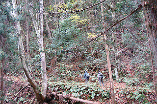 dsc05955_thumb.jpg