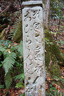 dsc05957_thumb.jpg