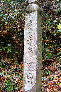 dsc05958_thumb.jpg