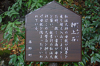 dsc05959_thumb.jpg