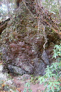 dsc05960_thumb.jpg