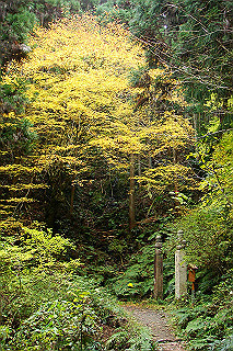 dsc05963_thumb.jpg