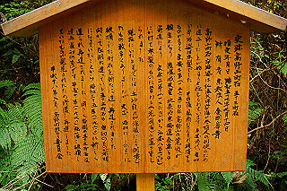 dsc05964_thumb.jpg