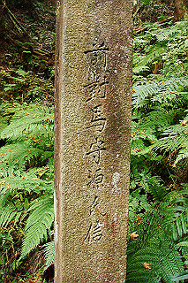 dsc05965_thumb.jpg