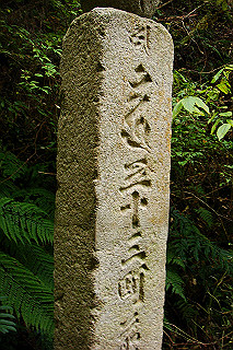 dsc05966_thumb.jpg