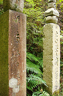 dsc05967_thumb.jpg