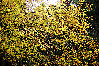dsc05969_thumb.jpg