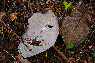 dsc05971_thumb.jpg