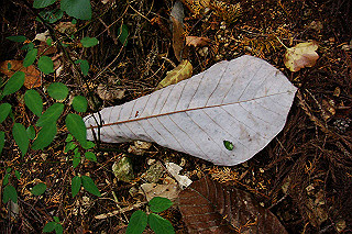 dsc05972_thumb.jpg
