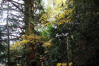 dsc05973_thumb.jpg