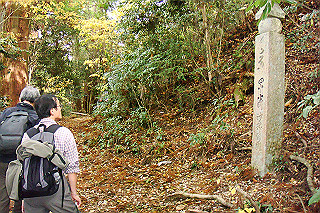 dsc05974_thumb.jpg
