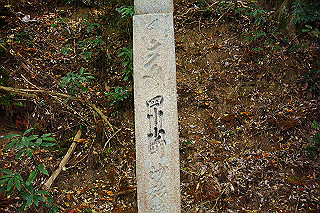 dsc05975_thumb.jpg