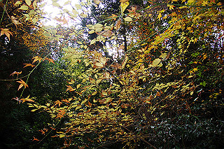 dsc05976_thumb.jpg