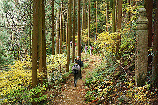 dsc05983_thumb.jpg