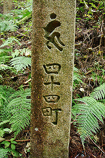 dsc05991_thumb.jpg