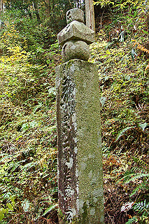 dsc05992_thumb.jpg