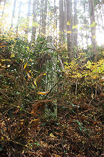 dsc05993_thumb.jpg