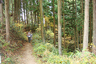 dsc05995_thumb.jpg