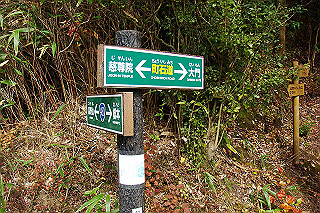 dsc05998_thumb.jpg
