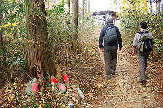 dsc06000_thumb.jpg