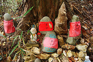 dsc06001_thumb.jpg
