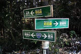 dsc06005_thumb.jpg