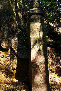 dsc06007_thumb.jpg
