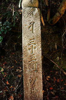 dsc06008_thumb.jpg