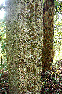 dsc06009_thumb.jpg