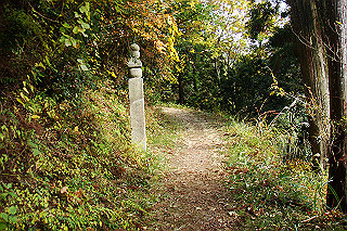 dsc06010_thumb.jpg
